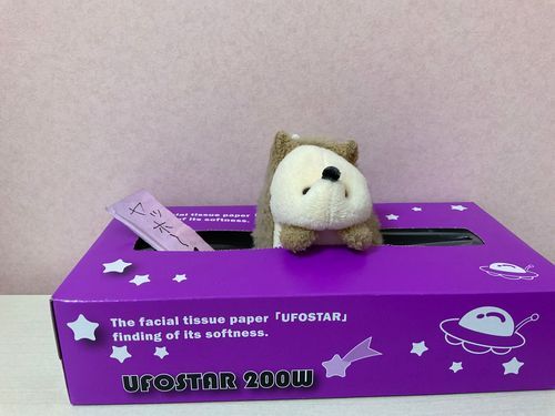 はじめましての人は、はじめましてとこんにちはこんばんは（.＿.）ﾍﾟｺ
そうじゃない人も、こんにちはこんばんは。りるぬです。
みんなからりぬちゃんって呼ばれてます。
これからよろしくおねがいしますm(._.)m