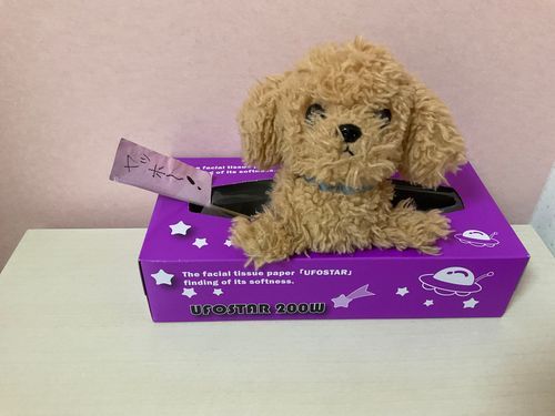 みんな〜今日はどんな一日だった〜？
トイプーはーサイコーだった！
みんなからはそのまんまトイプーって呼ばれてるよ〜
みんなもトイプーって呼んでね〜
それじゃあバイバイ〜