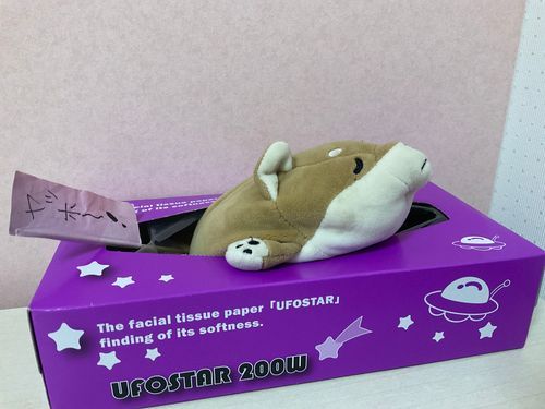 こたろうだよー
､､､ねむい( ´△｀)
すやすや(_ _).｡o○
