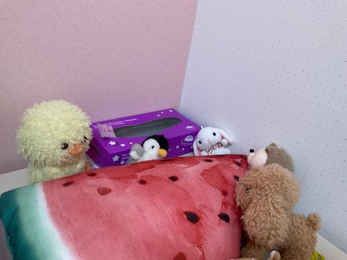 うさ　なんだこれぇ！？
りるぬ　スイカ？
ぺみゅー　ガブ！､､､食べれん､､､
ぴよこ丸　これスイカのクッションだ！､､､多分！
こたろう　zzzZZ
トイプー　こたろう寝てる〜