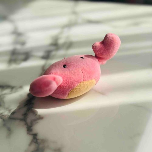 ひなたぼっこ