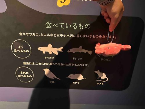 たべられちゃうよ