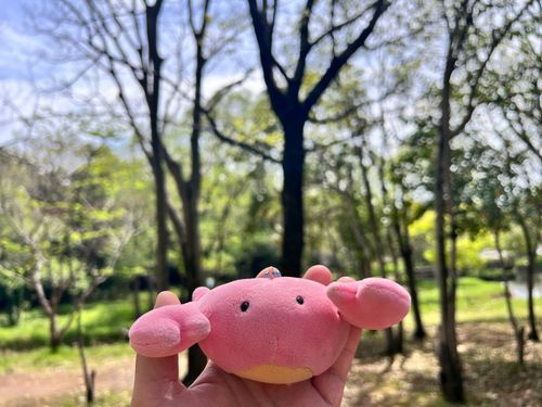 はるって、うれしい
（あつい！）