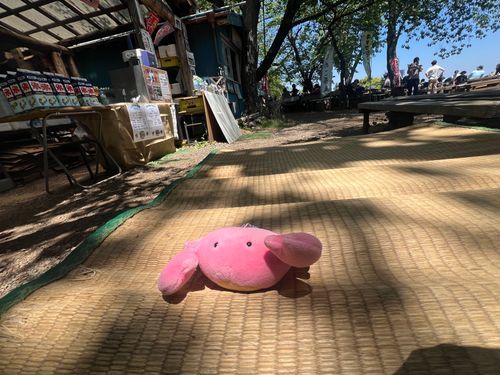 山登りカニ
