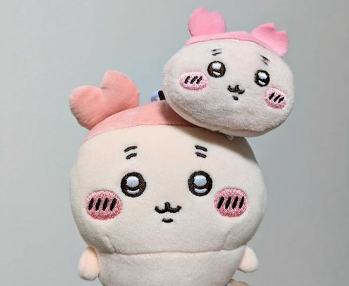 カニちゃんにカニちゃんを…