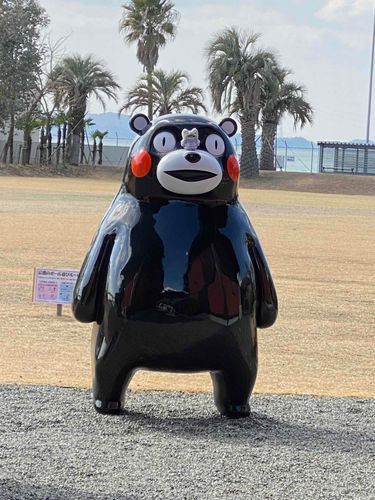 🐻