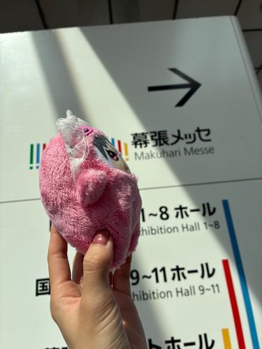 ｲｯｸｿﾞｰ!!