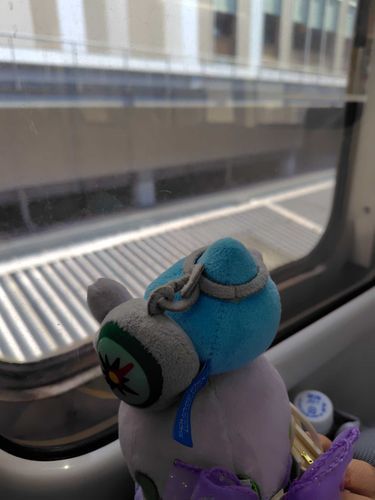 電車だね