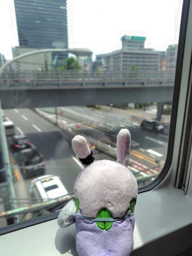 都内を見つめるグー