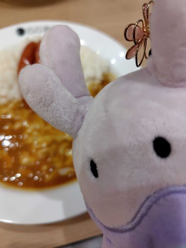 カレーグー