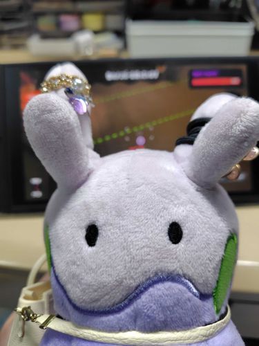 新しいアクセサリーうれしいね