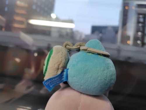 楽しかったね
またいこうね