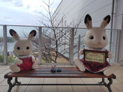 とんでもない未来に来たみたい？