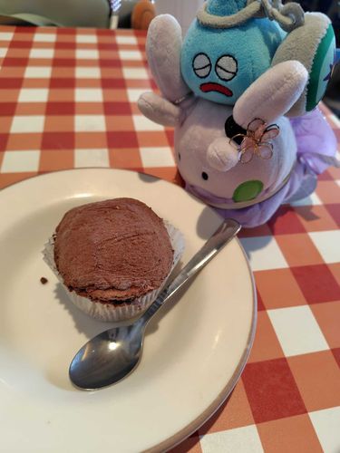 チョコアイス気になるねえ