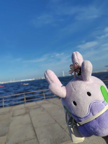 海だねぇ