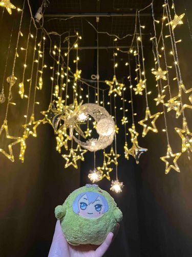 おほしさまいっぱいっぴね〜✨
