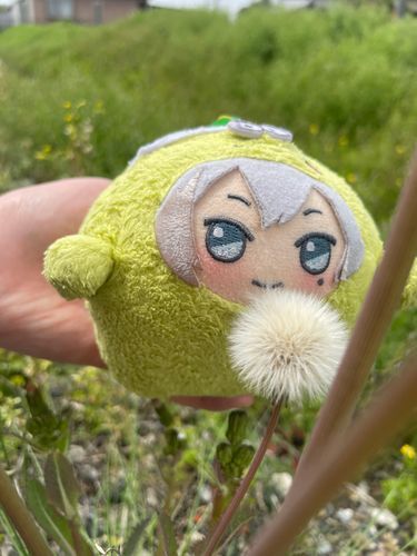 ふわふわのわたげっぴね〜
かいぬしとおさんぽたのしいぴぃ