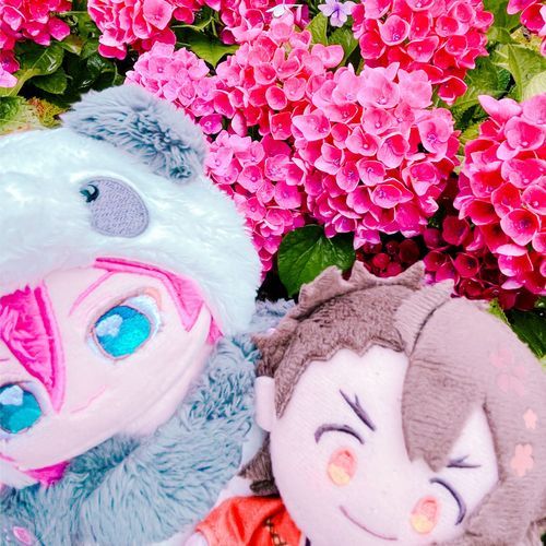 むつぬと あじさい 見てきたであります〜 ‼️