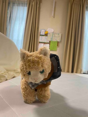 買ったばかりのぬいぐるみ紹介