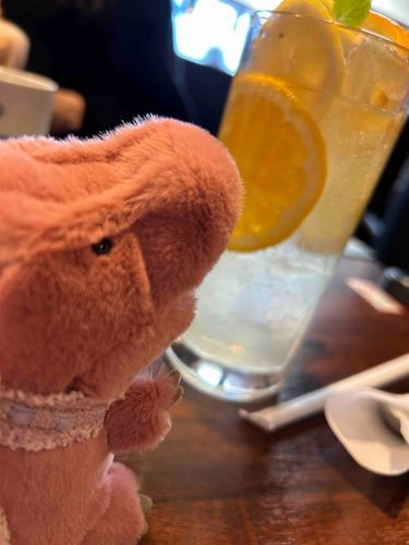 レモネードと