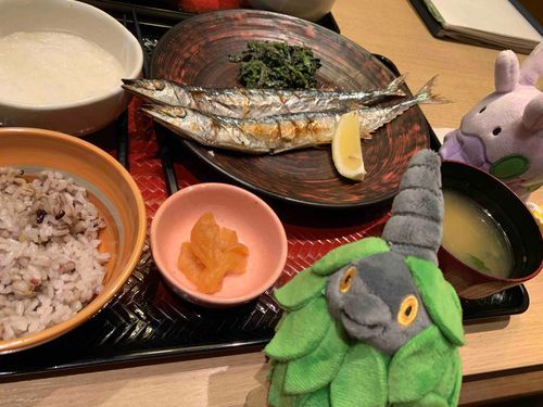 おおとや！しょきせっていからしてサンマ2ひきでこうふんしちゃった……！おいしかった〜！！