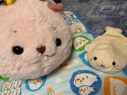 せんぱいのあかちゃんと！🦭