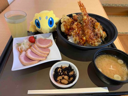 おんせんいったよ〜！てんどんサクサクでおいしすぎたしあいがものロースもおいしかった〜！おひるねもしちゃった……😴さいごはデカポでしめました、おそろいのきいろ！