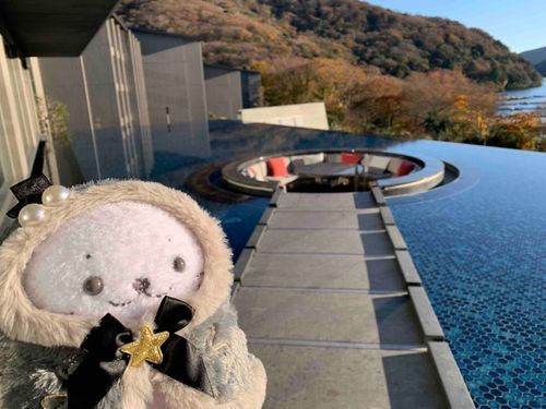 はこねにおとまりしてきてたよ〜！おへやにろてんぶろついててハッピーだった！