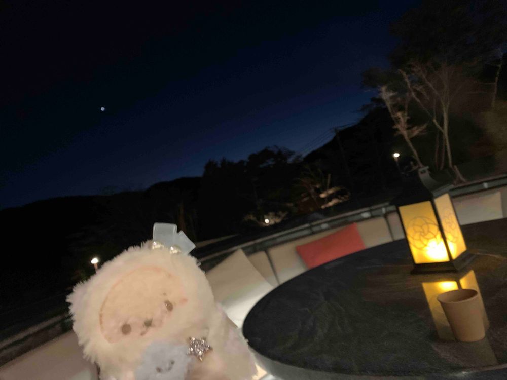 はこねにおとまりしてきてたよ〜！おへやにろてんぶろついててハッピーだった！