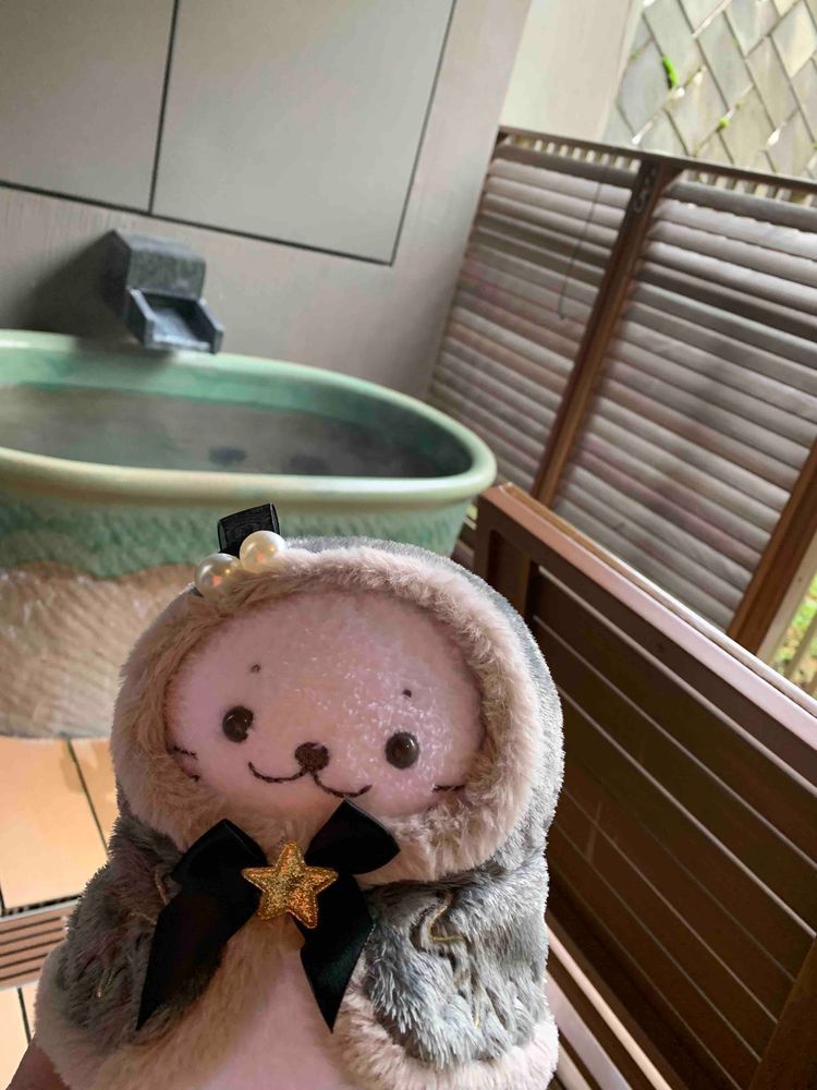 はこねにおとまりしてきてたよ〜！おへやにろてんぶろついててハッピーだった！