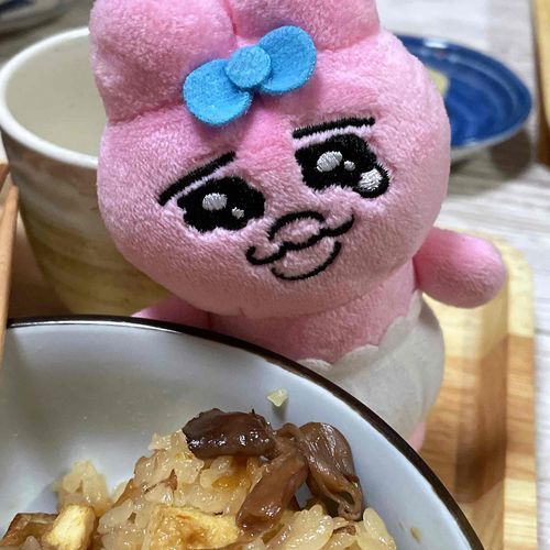 今日も健やかに過ごしました☺️明日も健やかであれ🐰