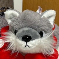 おお