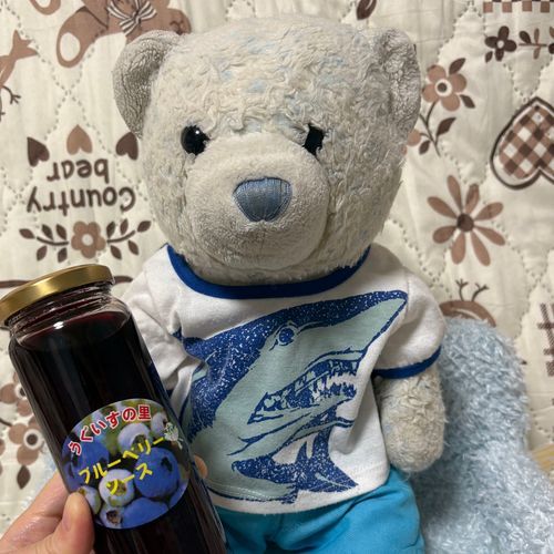 栗原に行ったときに買ったブルーベリーソースを食べてみるよ。
ヨーグルトにかけて完成。美味しいね。ヨーグルトとブルーベリーは相性抜群だ。