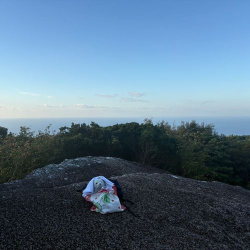 四国旅行も今日でおわり。5泊6日、とても充実した旅になったよ。
一部絶景を載せるね。
1枚目　唐人駄場遺跡。
2枚目　姫鶴平から見る朝日と雲海。
3枚目　中津渓谷。
4枚目　坂本龍馬の膝に乗るけあ。ニンゲン認定された坂本龍馬像のお顔は隠したよ。

デジカメの写真移したら、またいっぱい投稿するね。
今日はゆっくり寝ることにするよ。
お付き合いありがとう