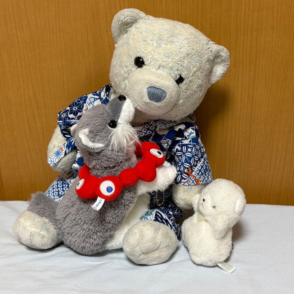 旅行を機に仲良くなったちびとおおくん。けあは疎外感…
なんて思ってたら、おおくんがぺろぺろしにきたよ。
そのまま2匹がけあのうえで寝ちゃったよ。けあも寝るかな。おやすみ💤