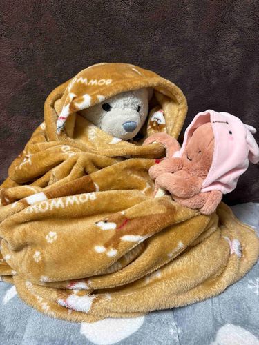 さむくて　モンブランになってたら　けおーちゃんが　のぼってきたよ。
ぶじにはいれて　だいまんぞくなおかお。
こんシーズンのモンブランも　そろそろおしまいかな。