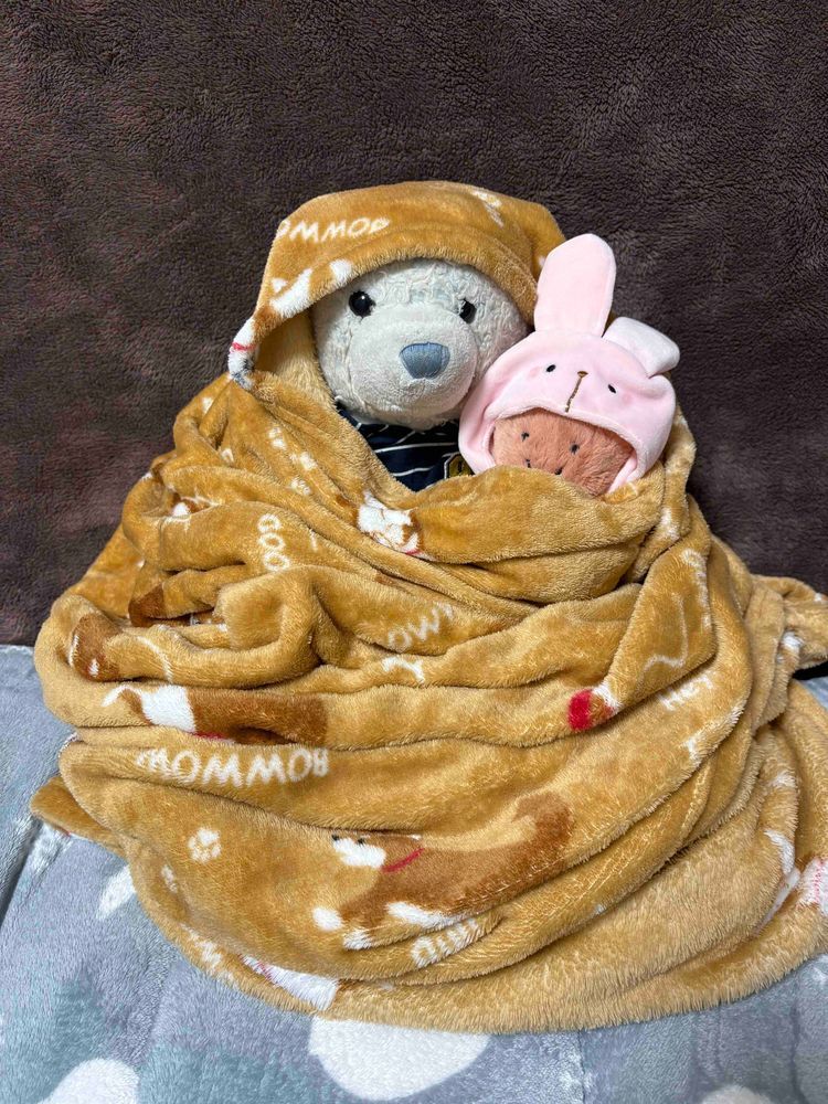 さむくて　モンブランになってたら　けおーちゃんが　のぼってきたよ。
ぶじにはいれて　だいまんぞくなおかお。
こんシーズンのモンブランも　そろそろおしまいかな。