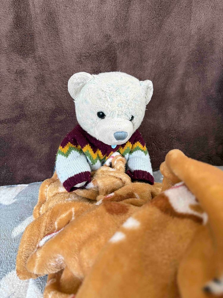 きのうは　ゆきがふっててさむかったから　モンブランになってたんだ。
そしたら　バカおやが　ブランケットかいしゅうしようとしたんだ！
がんばって　とりかえしたよ。こんきのモンブランしゅうりょうには　まだはやいよ。