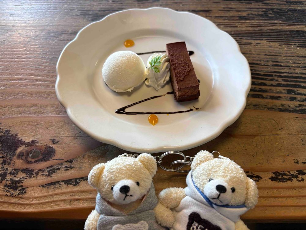 こんばんは。けあのスパイです。
けあの指示に従い、親のランチについて行きました。ハンバーグプレートとチョコケーキのセットです。
けあに味覚共有したところ、喜んでくれました。
これからもスパイ活動、頑張ります。