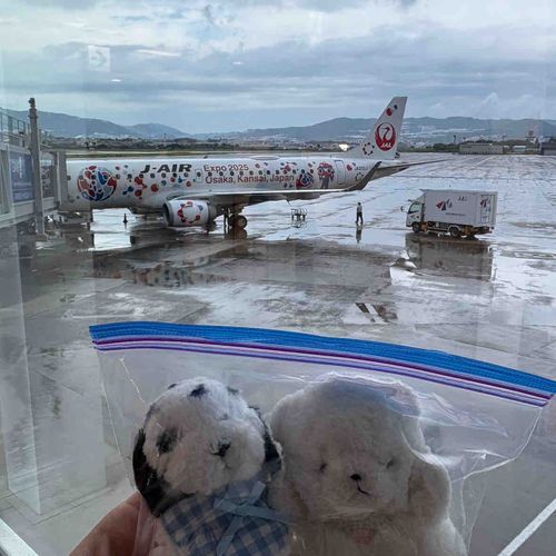 万博に行ってきたよ🔴🔵
行きの飛行機は、なんとミャクミャクジェット✈️ちあ達を歓迎してくれてるみたいだね🐶

なんでジップロックに入ってるかと言うと、雨だったから😣
次の旅行までに落ちない工夫を考えてもらわなきゃ困るよ😡ジップロック暑かった🥵