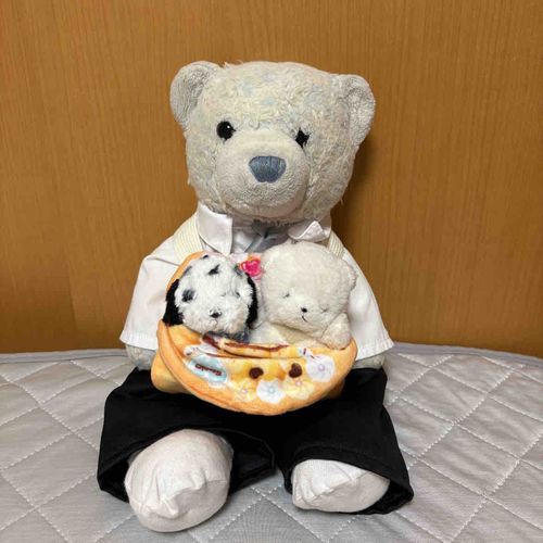 ちびたちようのケースが　かんせいしたぞ！
これで　おちるしんぱいなく　けあに　はこんでもらえるぞ！

なんだかけあ、ちびたちのパパみたいだな！