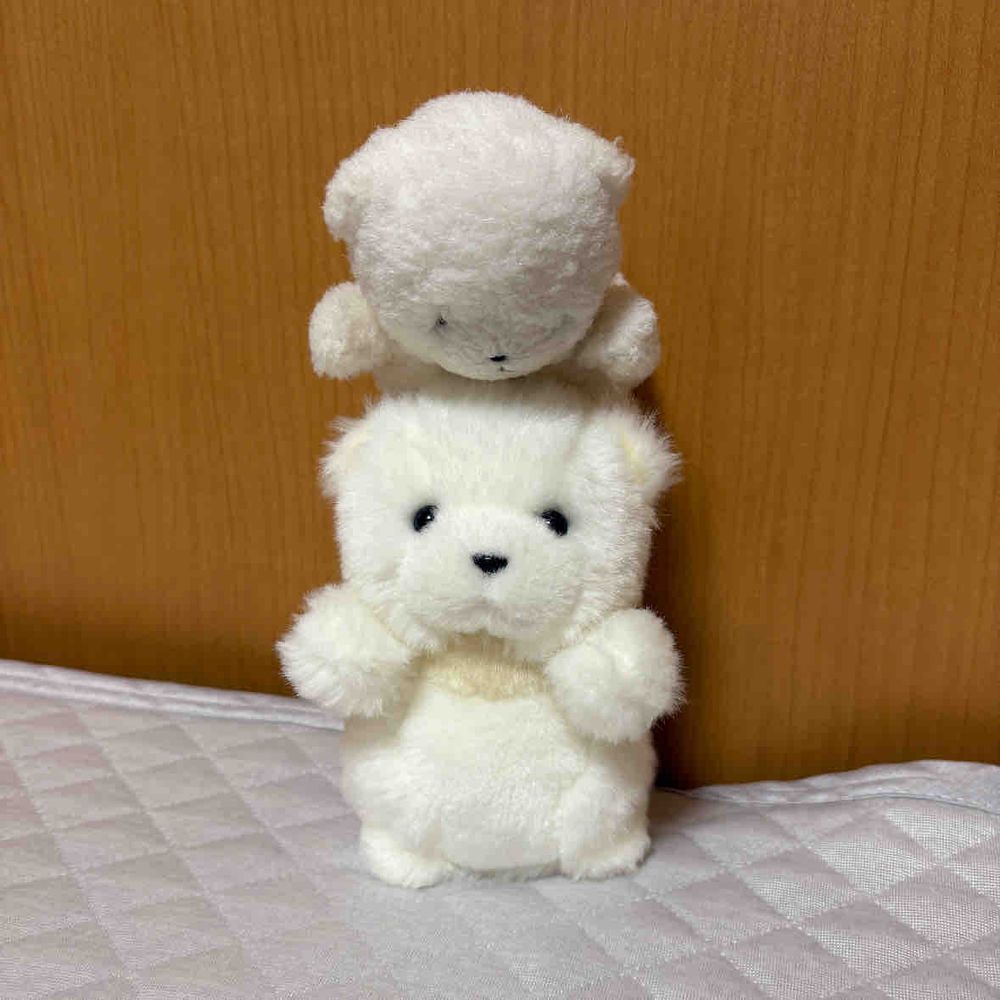 わがなはちび！そなたのなは　なんだ！？
なはまだないのか！？ちびがつけてあげるぞ！
ちびよりでかいから　でかだな！
よろしくな、でか！

おなじふわもこなのに　こんなにかおがちがうぞ！