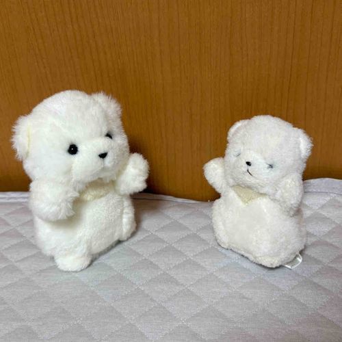 わがなはちび！そなたのなは　なんだ！？
なはまだないのか！？ちびがつけてあげるぞ！
ちびよりでかいから　でかだな！
よろしくな、でか！

おなじふわもこなのに　こんなにかおがちがうぞ！
