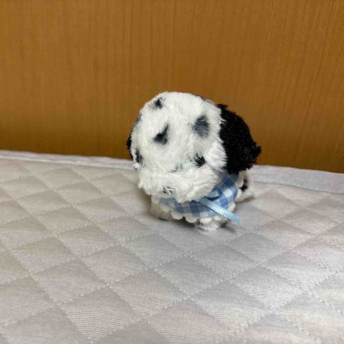 最近、お出かけに連れて行ってくれなくて悲しい😢
ちびお気に入りのメロンのカップを借りてしばらく落ち込もうと思ったら、にんにんくんが慰めに来てくれたの✨
イベント系は、ちっちゃいちあは紛失されちゃう可能性あるから仕方ないよね💦
次は連れて行ってもらえますように🙏