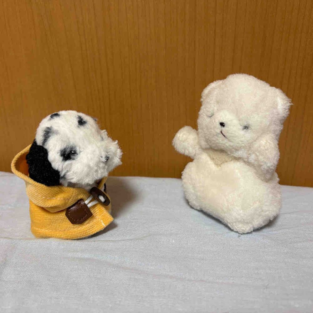 明日からお出かけだから着替えるよ🐶秋らしくコートを着ていくんだ✨
え❓ちびは裸でいくの❓相変わらず元気だね🤭
ちあたち用ケースに入って準備万端❣️あとはけあに抱っこしてもらうのみだね✨