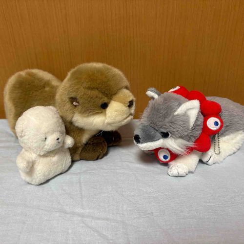 おおくんが　ミャクミャクをかえしてくれないぞ！
こまってたら　ちびおとでかが　プーさんのふくを　もってきてくれたぞ！
これで　いっけんらくちゃくだ！
かわくんにも　おようふくあげようとしたら　きょひされたぞ！かんかくがにぶるらしいぞ！