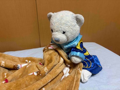 けあは寒いんだ。
おやにバレないようにこっそりモンブランを…
ああ、見つかっちゃった。ブランケットとられた。
モンブランモードはもっと寒くなってからだって。ひどいよ。