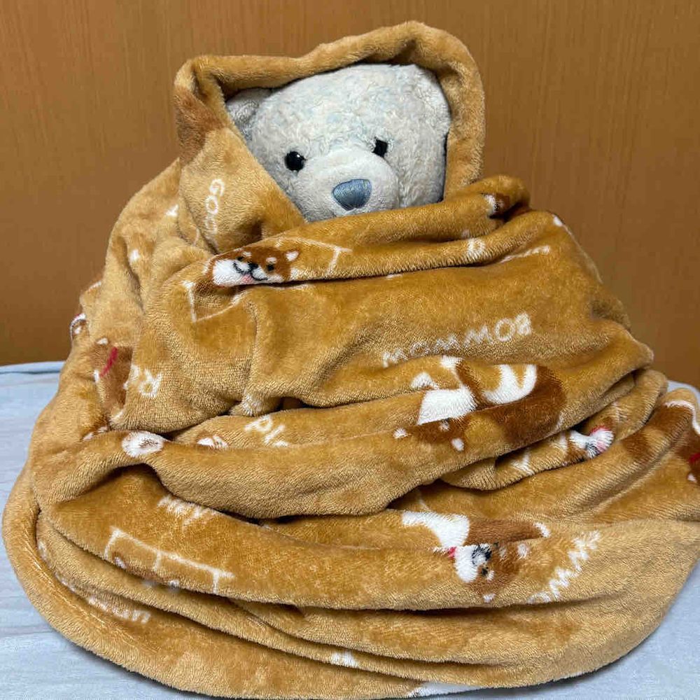 あまりの寒さにお腹がいたい…
と思ってお腹をおさえてたら、おやが急いでモンブランけあを作ってくれたよ。ぽかぽかだ。これで一安心。やっぱりモンブランモードが落ち着くよ。