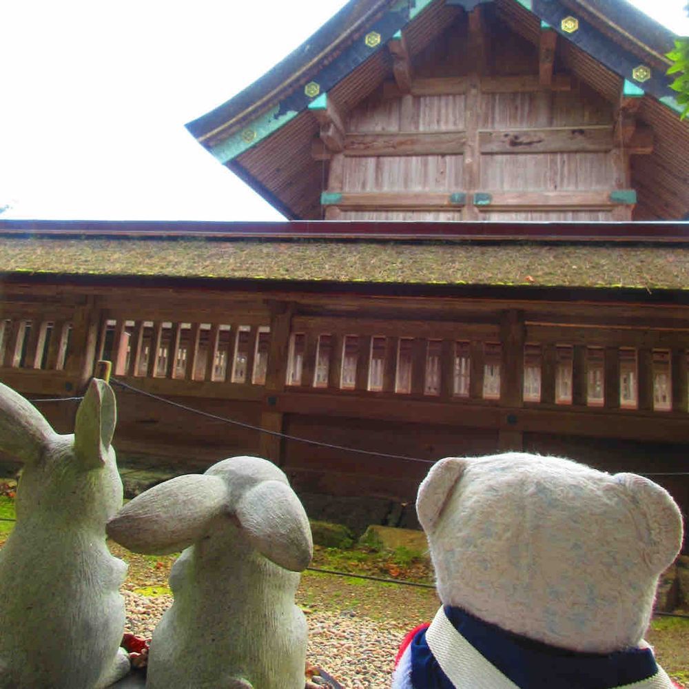けあちびと一緒に出雲大社に行ってきたよ😊
いいふわもことのご縁がありますように🐶🙏