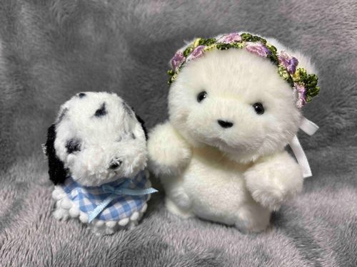 でかとツーショットを撮ってみたよ✨
けあ曰く、うちのふわもこで純粋に可愛い2匹らしい🤭
ちびやほかのふわもこも可愛いけど、性格にクセあるからね🤣